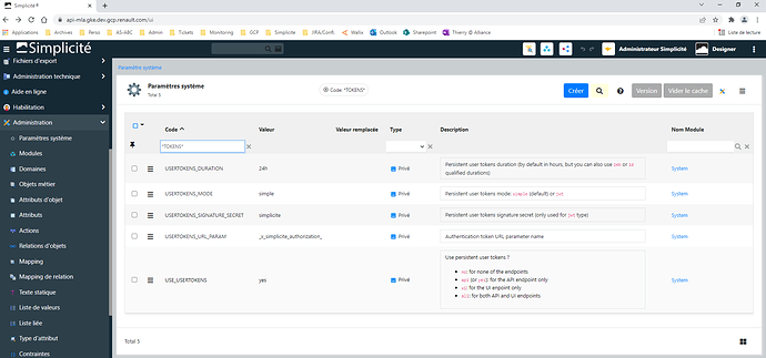 Simplicite_DEV_system_parameters_USERTOKENS